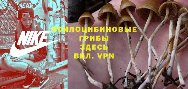 спиды Алзамай