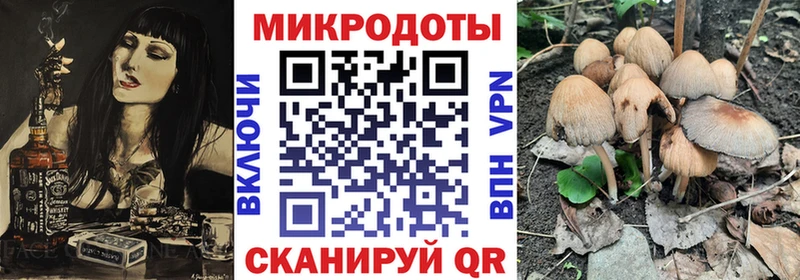 Псилоцибиновые грибы Psilocybe Кулебаки
