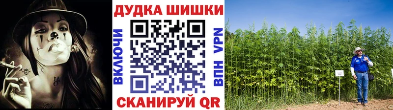 Бошки Шишки ГИДРОПОН  hydra онион  Кулебаки  дарнет шоп 